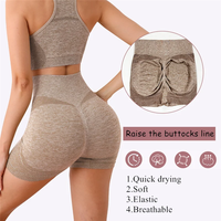 Nouvel ensemble de yoga grande taille : shorts de sport, soutiens-gorge de sport, hauts d'entraînement à taille élastique, ensemble 2 pièces sans couture