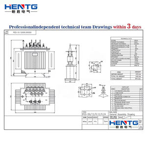 Hentg S20 Driefasige Olie Ondergedompelde Energiebesparende Transformator 30kva-3150kva Onan Koeling 50/60Hz - Product Image 5