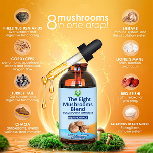 ของเหลวหยดเห็ดแปดเม็ดผสม Chaga Lion's Maitake สารสกัดการดูดซึมเพิ่มโฟกัสสมองสำหรับผู้ใหญ่ฉลากส่วนตัว - Product Image 3