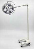 Vente chaude Portable OT lampe sans ombre lumière de salle d'opération Mobile pour théâtre médical et clinique dentaire examen de salle d'opération chaude