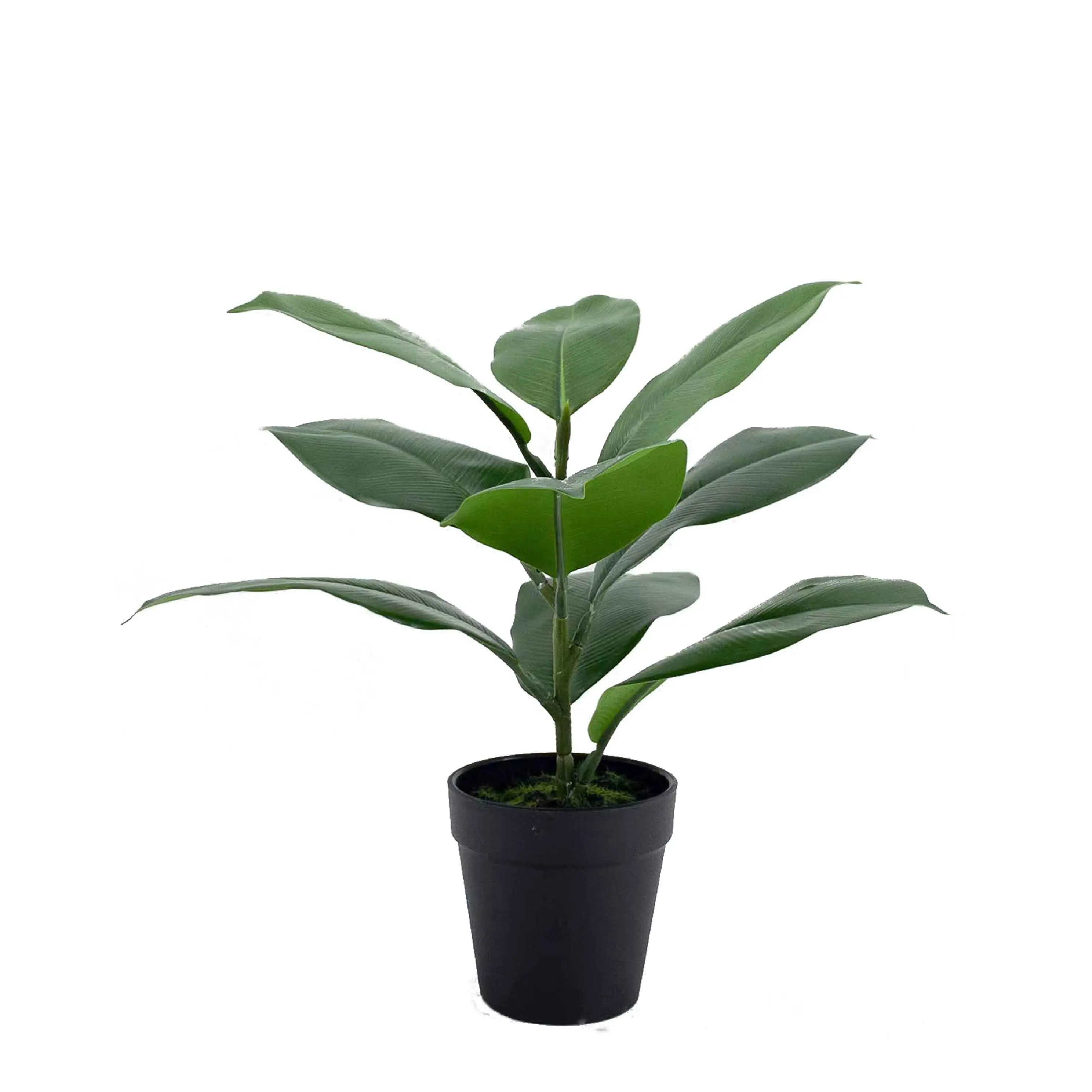 Factory Sale Real Touch Decoration Ficus Elastica Tree Bonsai Artificial Plant Leaves Plastic Potted For Home Decor