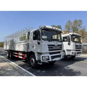 Camión de <span class=keywords><strong>Transporte</strong></span> Especial Multiusos Shaanxi Auto Delong para <span class=keywords><strong>Viajes</strong></span> de Grupos Grandes 6x4 - Product Image 6