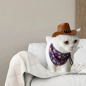 Dog Hats Cowboy Hats Mini Decoration Multi-Function Kitten Hats Household Puppy Cat Dress up Accessory Little Baby Cowboy Caps - Product Image 4