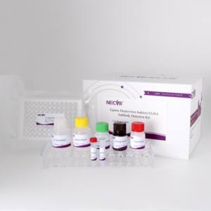 Kit <span class=keywords><strong>ELISA</strong></span> indirect pour l'herpèsvirus équin |   <span class=keywords><strong>Test</strong></span> d'anticorps EHV-1/EHV-4 |   Kit de diagnostic vétérinaire 96T - Product Image 1