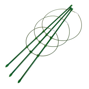 Haute qualité <span class=keywords><strong>pas</strong></span> <span class=keywords><strong>cher</strong></span> métal jardin piquets <span class=keywords><strong>plante</strong></span> piquet <span class=keywords><strong>Support</strong></span> anneau treillis <span class=keywords><strong>plante</strong></span> escalade <span class=keywords><strong>support</strong></span> - Product Image 5