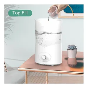 Plastic Timer Top-Filled Water Room Humidifier Made In China