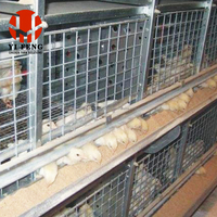 Cage d'élevage de poussins multi-niveaux en acier galvanisé à chaud de haute qualité, équipement professionnel d'élevage avicole pour poussins pondeuses