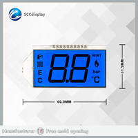 Modulo Display LCD a 7 Segmenti HTN Positivo con Retroilluminazione LED Blu Personalizzata, Luminosità 500, SJXDGN024 4.5V, Display a Due Cifre