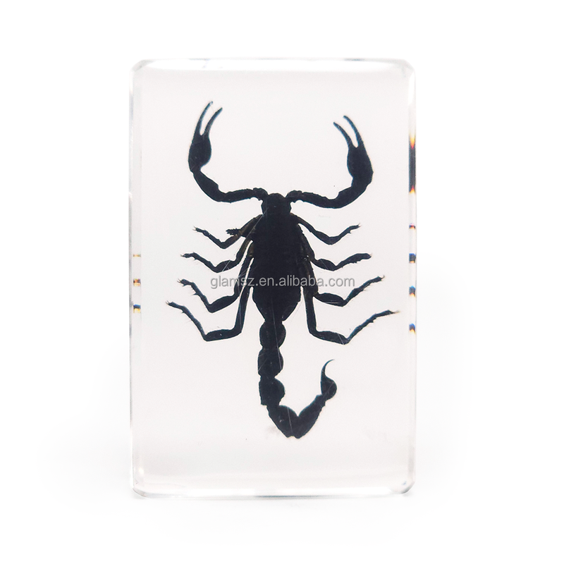 Large Natural Crystal Resin Butterfly Insect