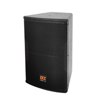 Haut-parleur professionnel DSZ 300W-1200W 8Ω, haut-parleur large bande de 10 pouces pour salle de conférence/club/événements