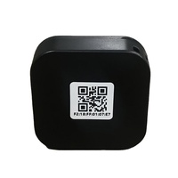 BLE Asset Tracker NRF52810 Chip BLE 100 metros rango baliza