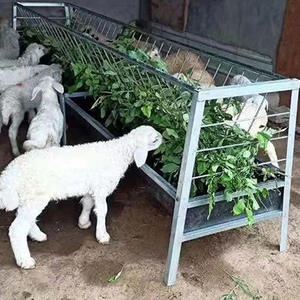 Mangeoire agricole portable en plastique Zhenway certifiée CE, à faible hauteur, anti-accroc pour la tête, avec réduction pour les commandes en gros, NEUVE, alimentation facile - Product Image 5