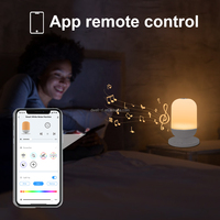 Nouveau dispositif de contrôle tactile des sons blancs aide au sommeil pour bébé bruit blanc sucette Machine minuterie fonction de mémoire avec APP télécommande