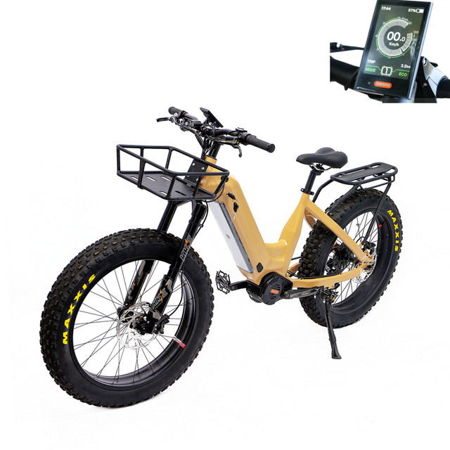 48V 30Ah Lithium Battery 1000 Watt Ebike Electric Mountain Bike with Dual Battery for Sale