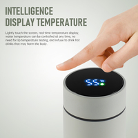 Bouteille isotherme Jianyang portable pour café, thé, avec affichage intelligent de la température, gourde à vide avec filtre
