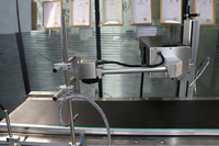 Machine de marquage laser CO2, équipement automatique de marquage laser de codes QR et d'association de données pour la traçabilité complète des lots de gobelets en papier