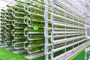 Soluzione di coltivazione per agricoltura verticale in agricoltura con sistema aeroponico per Container da agricoltura - Product Image 6