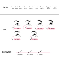 Extensions de cils individuels Jeleap noirs faits à la main, base pointue 4D coréenne, 12 rangées de cils en éventail pré-faits pour volume