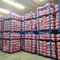 Fournisseur de prix de gros d'ail frais, ail blanc frais, exportateur d'ail frais, Ajo Ail Frais, ail frais, usine chinoise