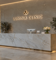 Plaque murale en métal avec logo personnalisé en acier inoxydable miroir doré, lettres 3D rétroéclairées par LED, pour le bureau, le hall d'entrée, la réception