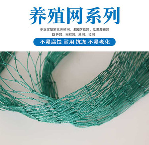 Filets <span class=keywords><strong>de</strong></span> sécurité <span class=keywords><strong>pour</strong></span> <span class=keywords><strong>chantier</strong></span>, filets <span class=keywords><strong>de</strong></span> <span class=keywords><strong>protection</strong></span> d'isolation, filets <span class=keywords><strong>de</strong></span> <span class=keywords><strong>protection</strong></span> contre les chutes <span class=keywords><strong>pour</strong></span> échafaudages, <span class=keywords><strong>filet</strong></span> <span class=keywords><strong>de</strong></span> terrain <span class=keywords><strong>de</strong></span> football - Product Image 3