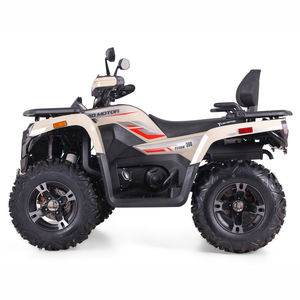 <span class=keywords><strong>Cuatrimoto</strong></span> Tao 2026 de 300cc, 4 Tiempos, a Gasolina, para Adultos, Resistente, con Marco de Acero de Alto Carbono, Transmisión Automática por Eje, Todoterreno - Product Image 5