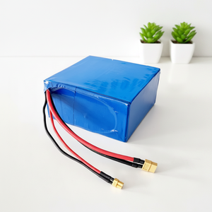 Bateria Recarregável de Fosfato de Ferro-Lítio OEM LFP 33140 8S1P 25.6V 15Ah LiFePO4 - Product Image 1