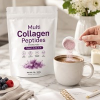 OEM & ODM Premium-Qualität Multi-Kollagen-Peptide Biotin Vitamin C & Hyaluronsäure-Pulver Natürliche Inhaltsstoffe