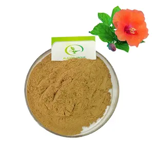 OEM Halal nhà máy bán buôn Hibiscus syriacus chiết xuất bột 10% hibiscin bột