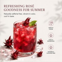 Boissons d'été rafraîchissantes au thé glacé à l'hibiscus, infusion froide de roselle rouge rubis, soutien antioxydant et hydratant de qualité supérieure