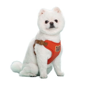 Imbracatura e Guinzaglio in Nylon per <span class=keywords><strong>Cani</strong></span> di Piccola e Media Taglia, Pettorina per Passeggiate all'Aperto Disponibile - Product Image 1