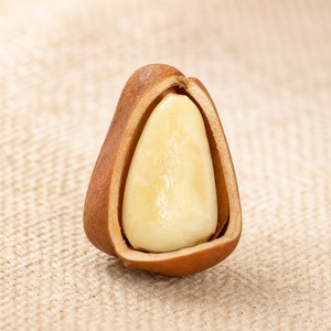 Noix de pin en vrac OEM, coquille ouverte, fendues naturellement, noyaux en forme de goutte, crémeux et croustillants, collation de noix de qualité supérieure, 5 kg - Product Image 2
