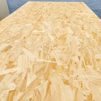 Panneau SIP OSB 2440x1220mm, panneau à fibres orientées 9-18mm, panneau isolant structurel certifié CE, colle E1, garantie 1 an