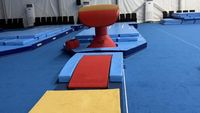 Table de saut à cheval de compétition standard FIG en promotion – Appareil de gymnastique pour la vente