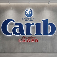 Panneau publicitaire LED personnalisé en promotion, logo de marque, enseigne de salon, lettrage tridimensionnel sur mesure pour murs de culture d'entreprise