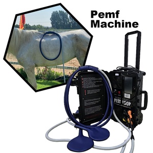 Máquina PEMF de Doble Canal para Caballos, para Aumentar la Flexibilidad y Movilidad de las Articulaciones y Mejorar el Confort Físico - Product Image 1