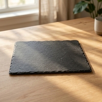 Assiette rectangulaire noire de 11 pouces pour restaurant de sushi, design Japandi moderne, durable et compatible lave-vaisselle