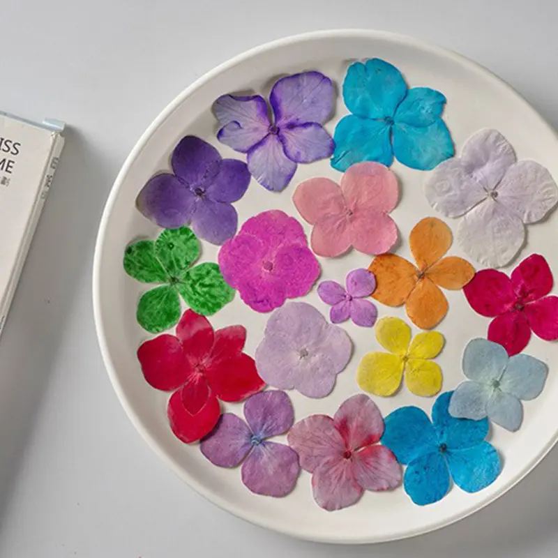 فن الأظافر ضغط الزهور الجافة 3D الطبيعة لزينة الأظافر