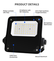 Projecteur noir haute luminosité 50w 100w 200w 300w lampe de projecteur LED légère pour cour hôtels lumières extérieures 100 ML/W