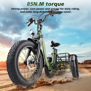 Tricycle électrique E-trike E-Bike avec batterie 20Ah, transmission par moyeu, autonomie 30-50km, capacité de charge 150kg, moteur 200-250W 48V, certifié CE - Product Image 4