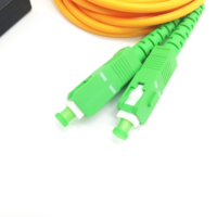 Sunet High Quality FTTH 1x2 ABS Box Type SC APC UPC Single/Dual/Triple windows 2.0mm/3.0mm Fiber Optic Fbt Coupler