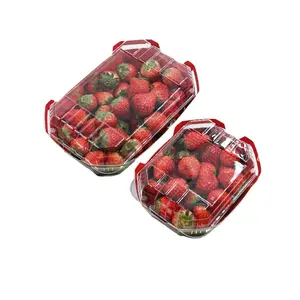 Lesui 친환경 식품 학년 딸기 과일 Punnet 크래프트 종이 트레이 투명 플라스틱 뚜껑 커버