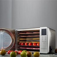 6 Trays Voedsel Dehydrator Machine Fruit Dehydrator Drogen Voor Thuisgebruik