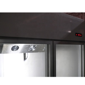 Vetrina Refrigerata Verticale a 2 Porte in Vetro con Raffreddamento a Ventola per Bevande da Interno dal Produttore - Product Image 5