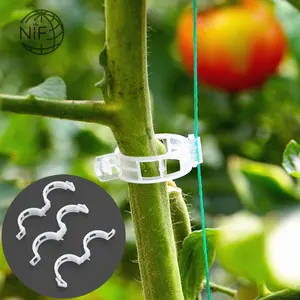 NIF 15mm 22mm 24mm Clips de tomate Clips de soporte de plantas Clips de vid de plástico para uso de soporte de tomate de jardín