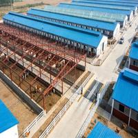 Structure en acier galvanisé préfabriquée pour poulailler et ferme, durable, anticorrosion, garantie 1 an pour l'élevage