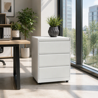 Classeur vertical moderne à 3 tiroirs, large rangement en métal et acier pour bureau, chambre à coucher, école, salle de sport, utilisation directe en usine