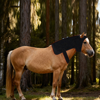 Appareil de thérapie infrarouge rechargeable pour chevaux, 660 nm 850 nm, enveloppement de thérapie par lumière rouge pour le cou, fabricant