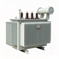 Transformateur triphasé immergé dans l'huile, noyau en alliage amorphe, 10KV 35KV 1000kVA avec sortie 400V pour la distribution d'énergie