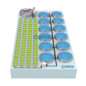 Cowater Hydroponics Sistema de cultivo de <span class=keywords><strong>lechuga</strong></span> y tilapia Sistema de acuaponia de peces de interior Granja de peces Verduras Sistema de acuaponia - Product Image 3